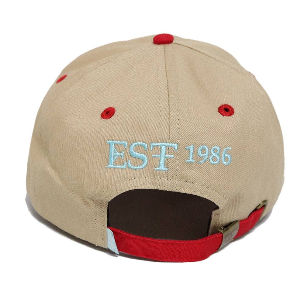 Custom Dad Hats